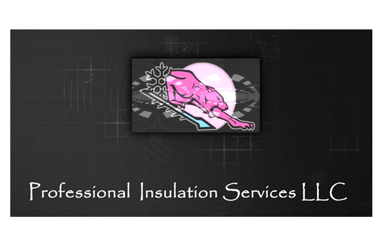 Professional Insulation Services LLC Fort Myers logo